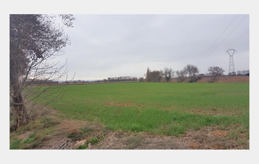 Annonces NARBONNE : Ground | NARBONNE (11100) | 19 460 m2 | 45 000 € 