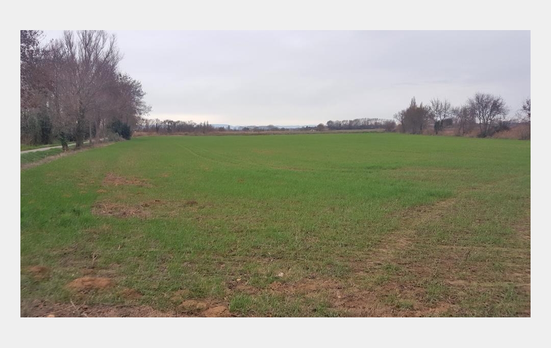 Annonces NARBONNE : Ground | NARBONNE (11100) | 19 460 m2 | 45 000 € 